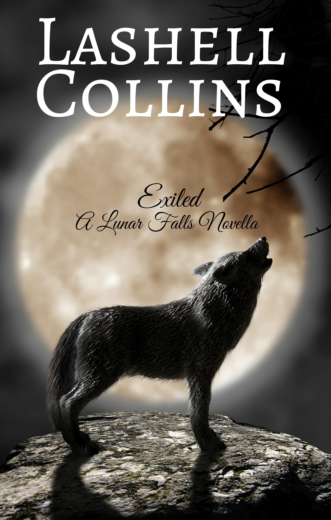 Exiled book cover