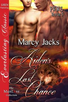 Aiden's Last Chance book cover