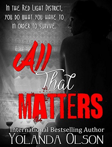 Red Light Ladies book cover 1