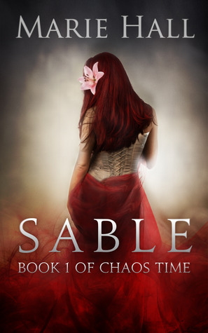 Chaos Time book cover 1