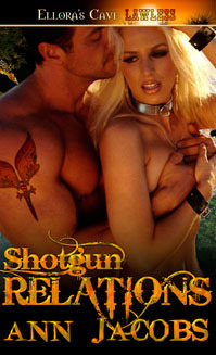 Bar C Legacy book cover 2