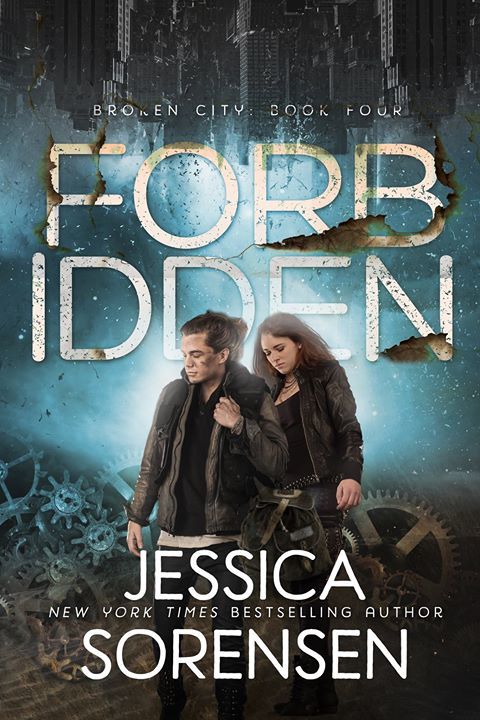 Forbidden book cover