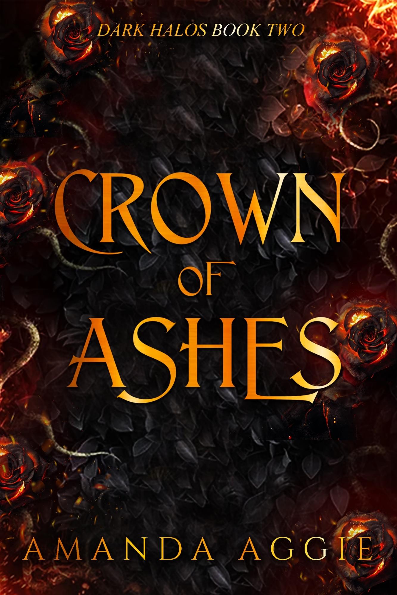 Dark Halos book cover 2