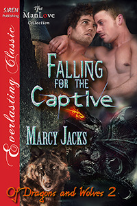 Of Dragons and Wolves book cover 2