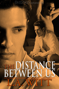 The Distance Between Us book cover 1
