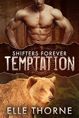 Temptation book cover