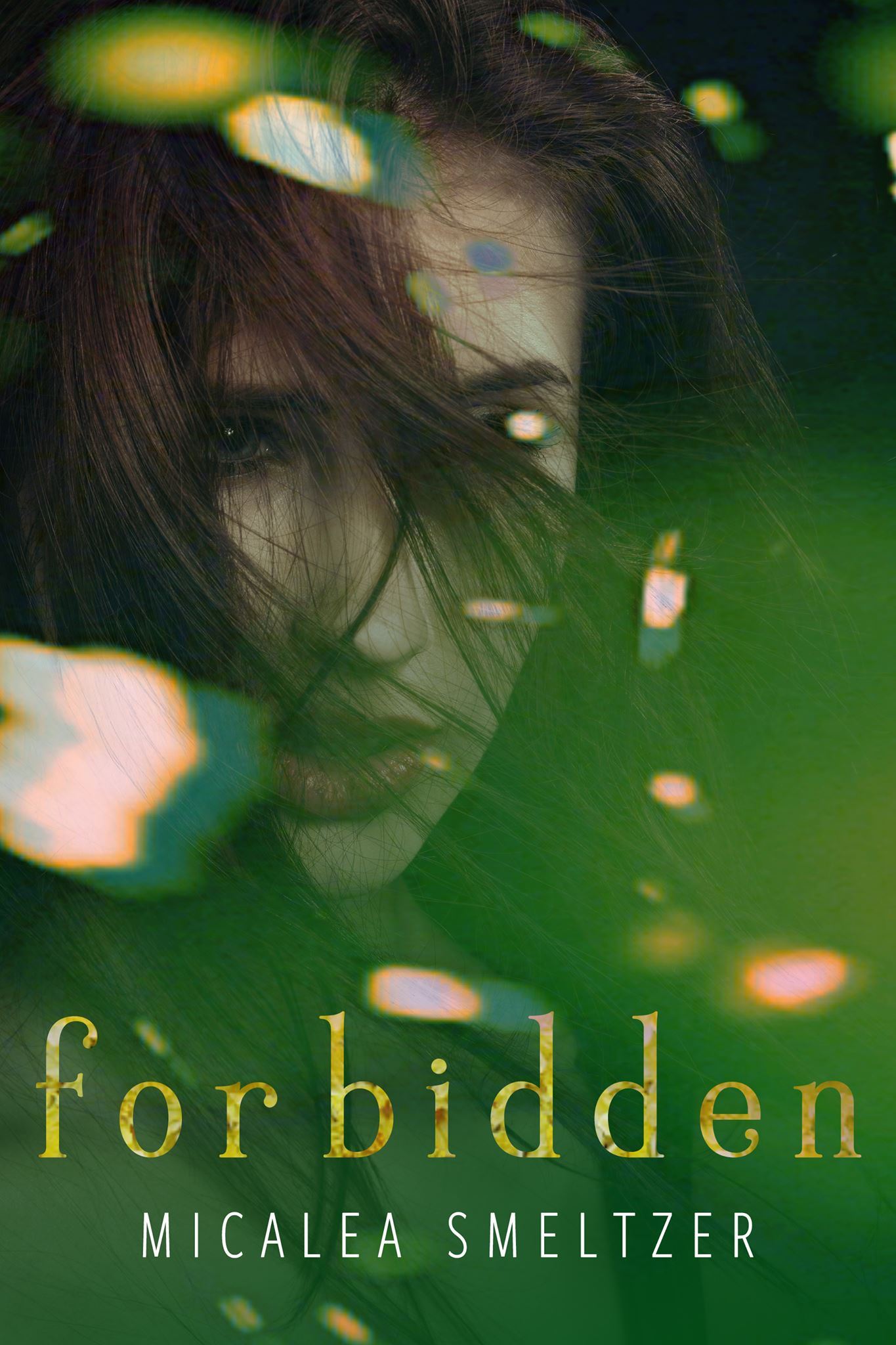 Fallen book cover 2