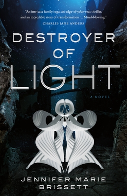 Destroyer of Light book cover