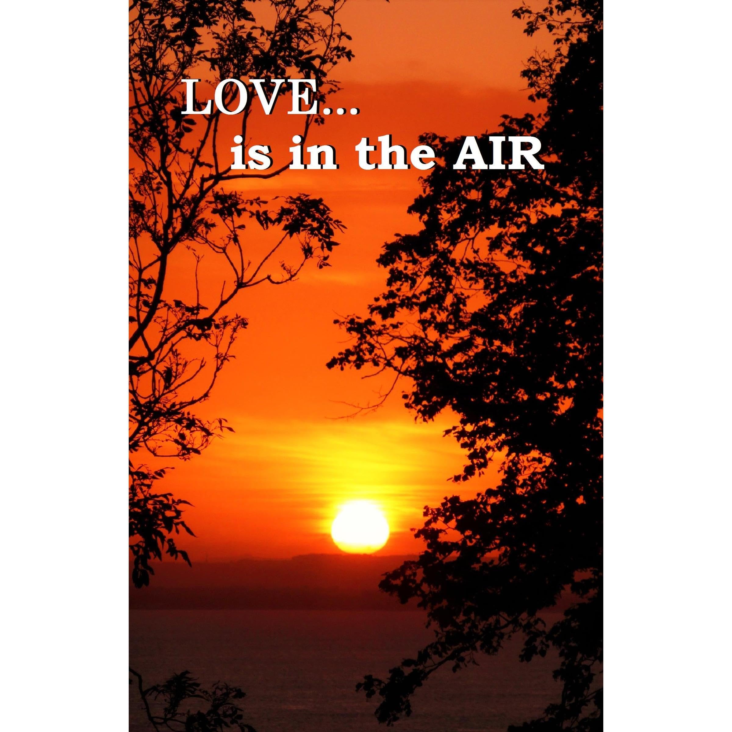 Love is in the Air book cover