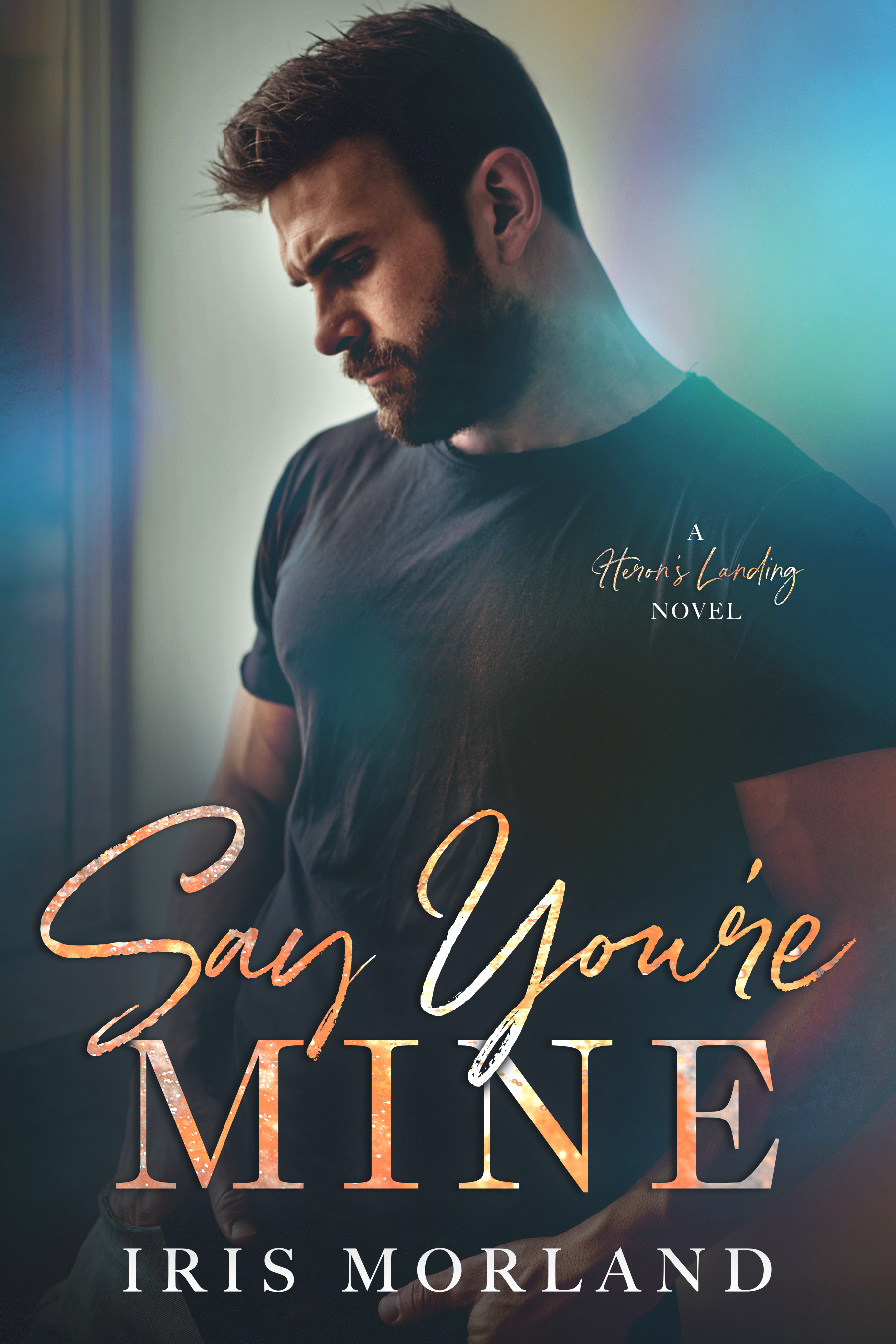 Heron's Landing book cover 1
