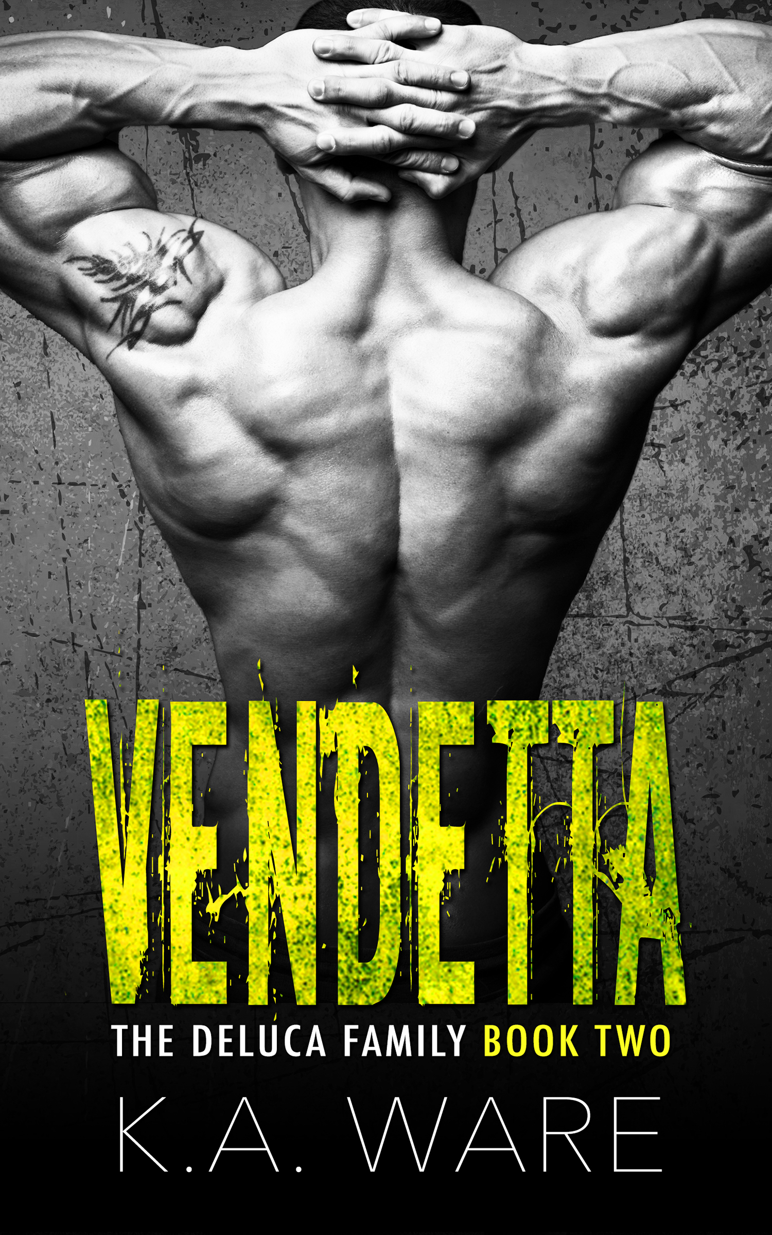 The DeLuca Family book cover 2