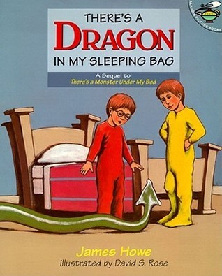 There's a Dragon in My Sleeping Bag book cover