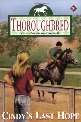 Cindy's Last Hope book cover