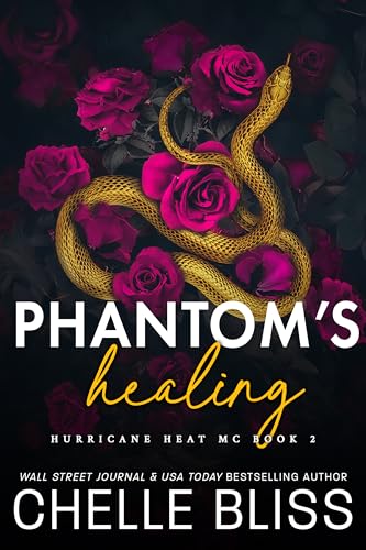 Hurricane Heat MC book cover 2