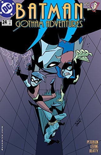 Batman book cover