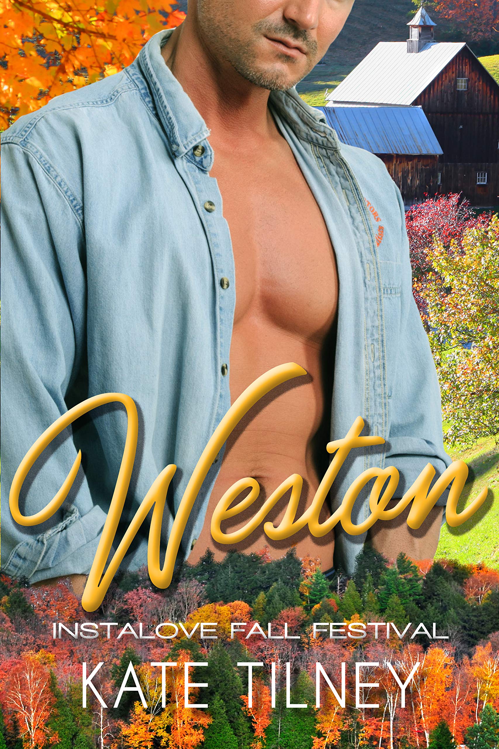 Instalove Fall Festival book cover 1