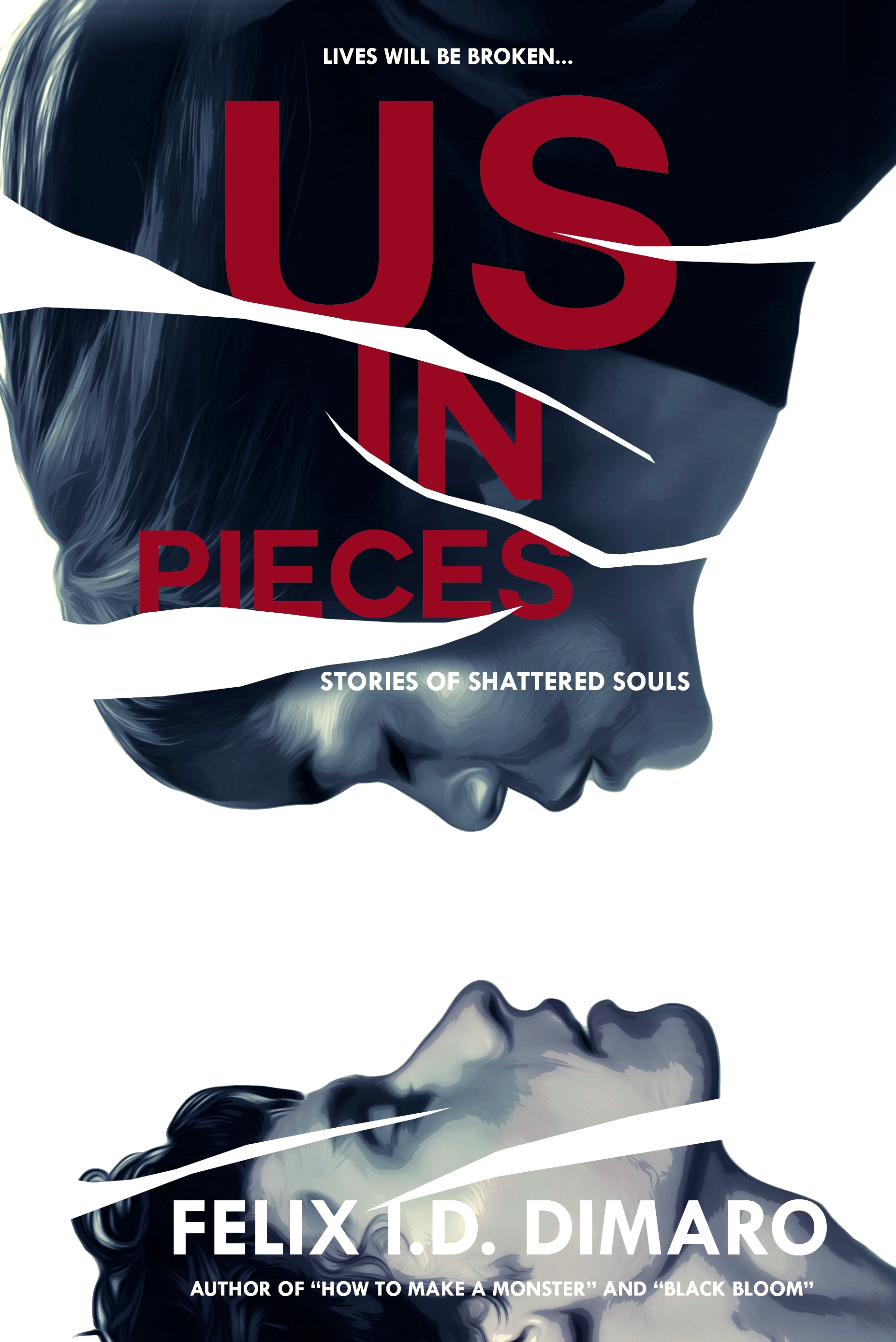 Us in Pieces book cover