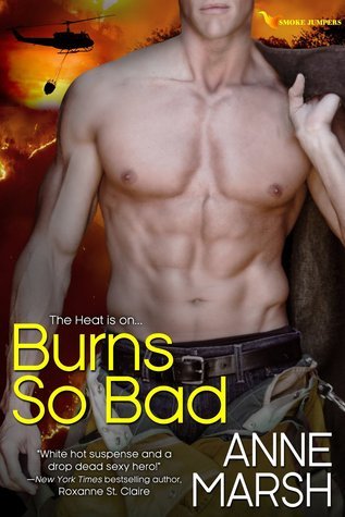 When SEALs Come Home book cover 1