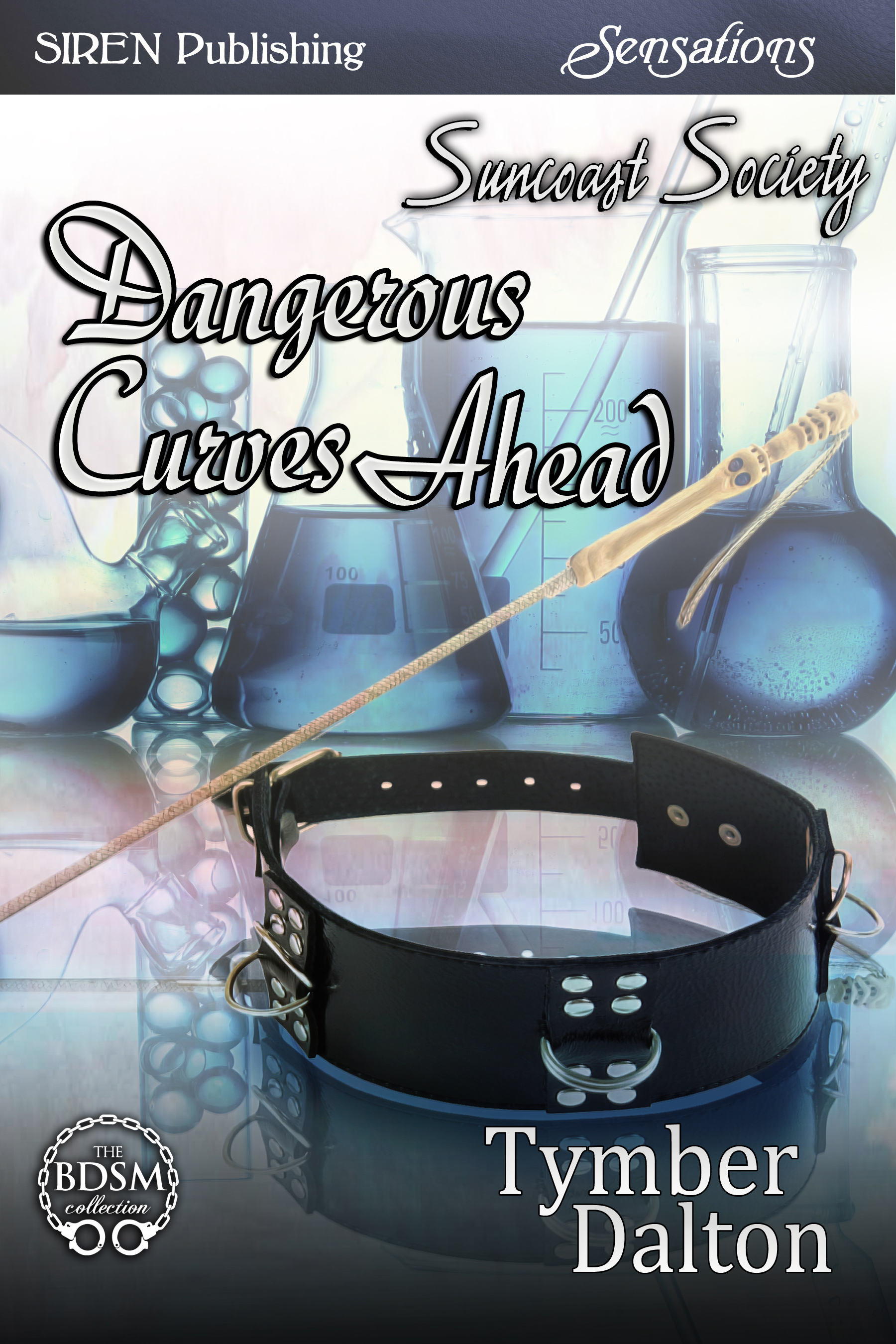 Dangerous Curves Ahead book cover