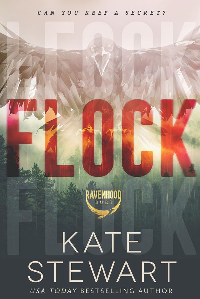 The Ravenhood book cover 1