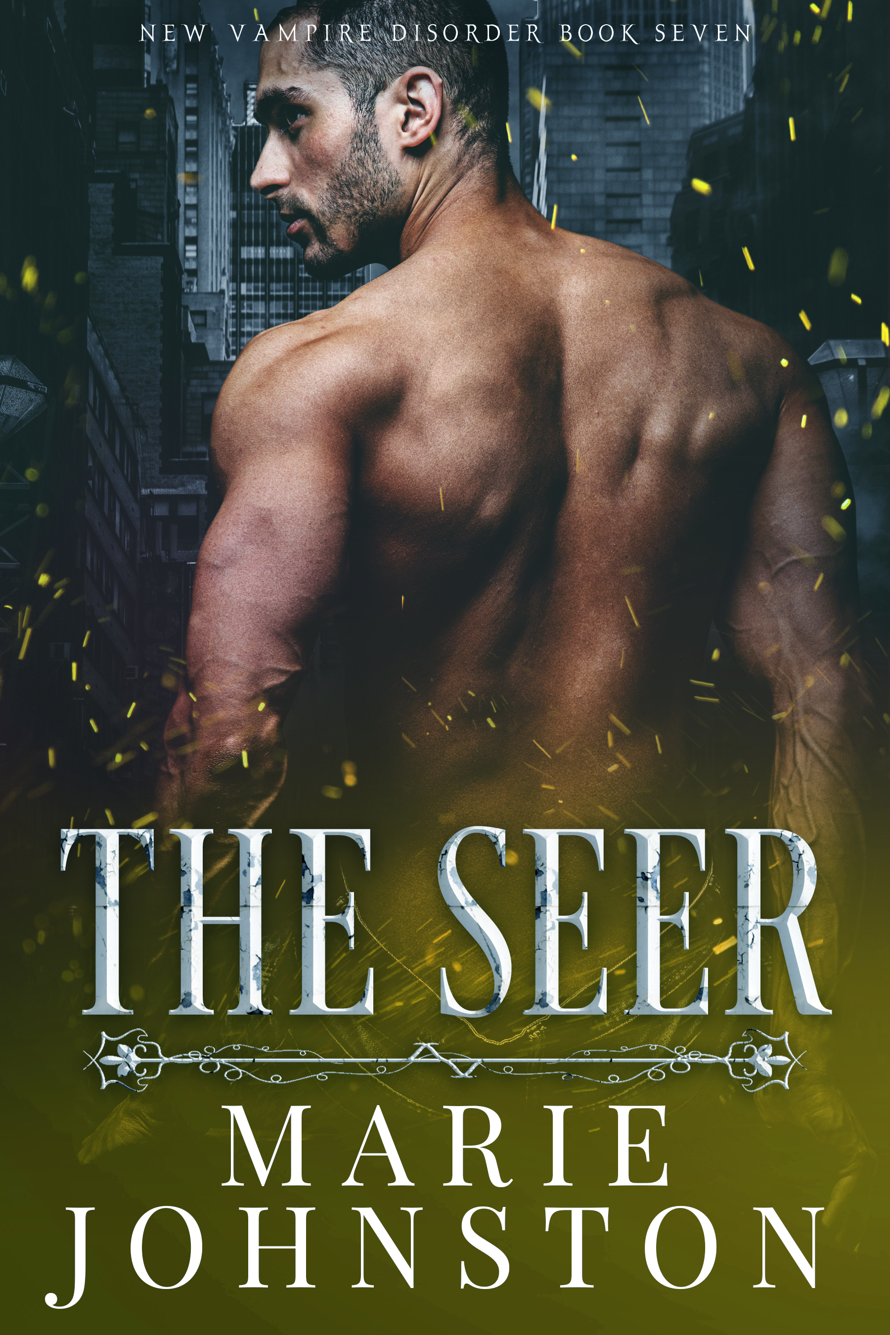 The Seer book cover