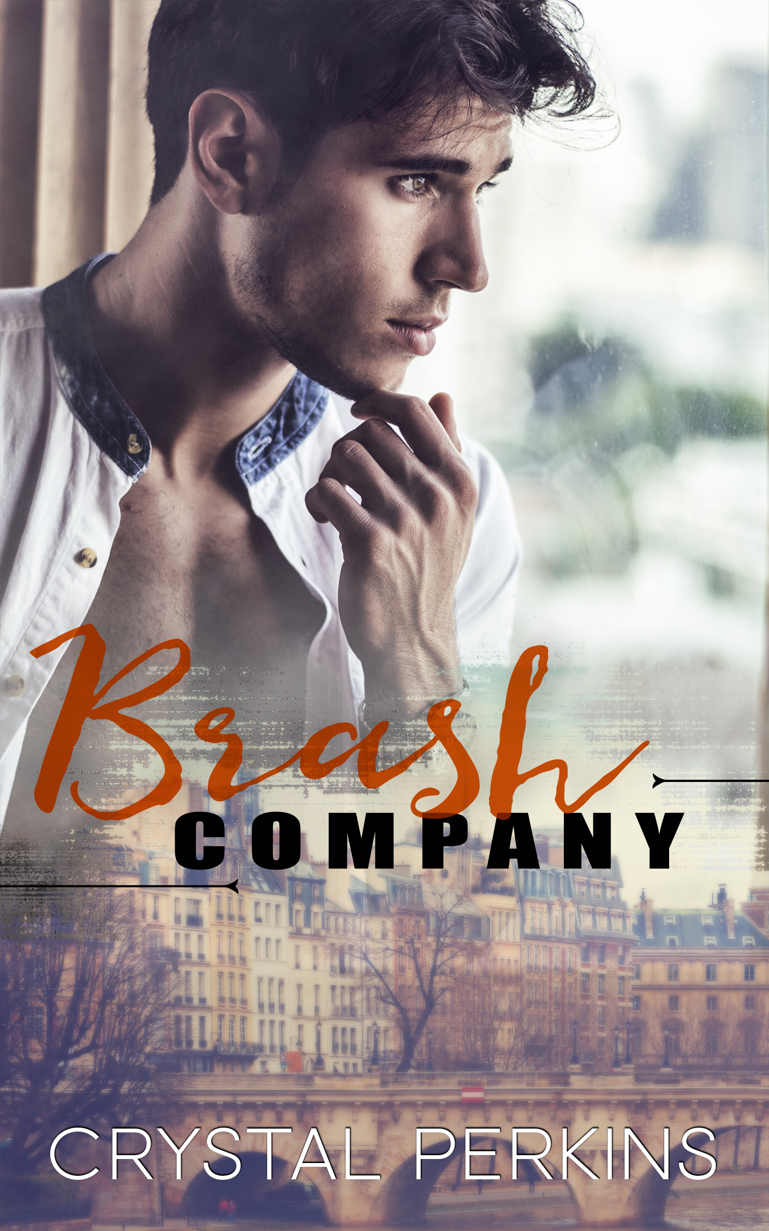 Brash Company book cover