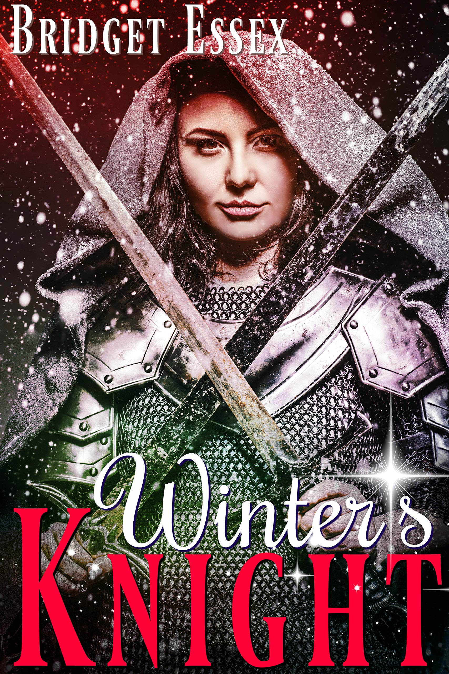 Winter's Knight book cover