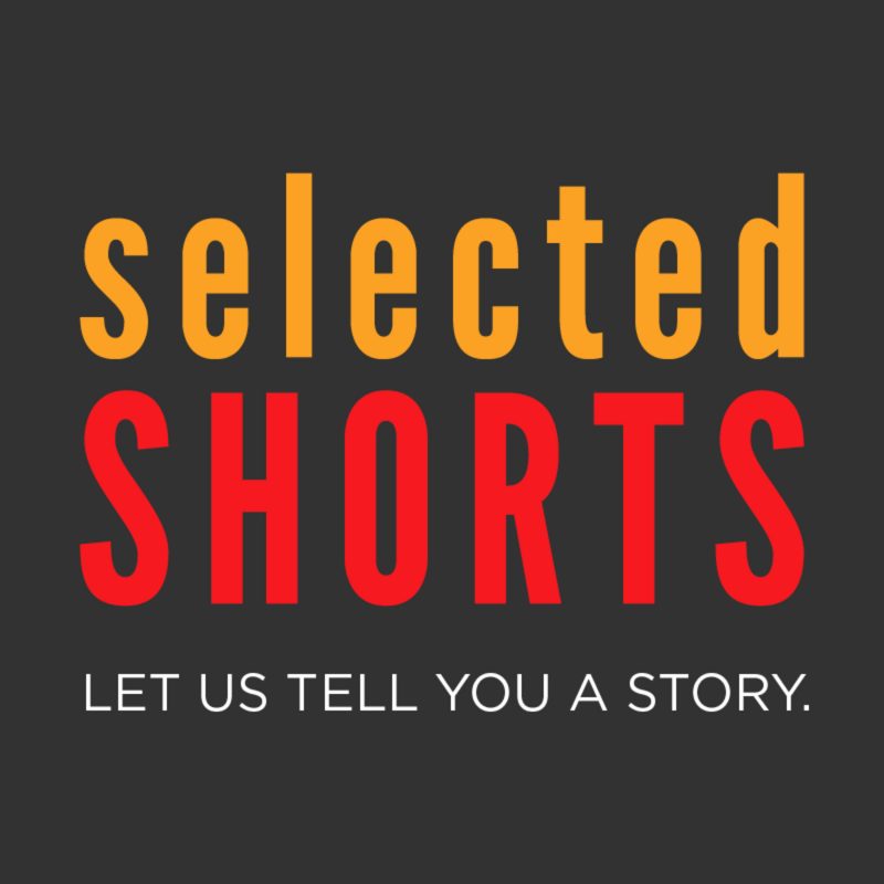 The Storyteller's Replacement book cover