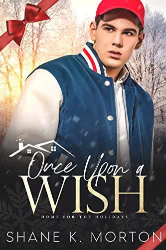 Once Upon A Wish book cover