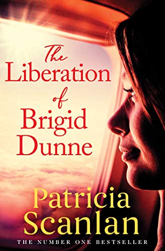 The Liberation of Brigid Dunne book cover