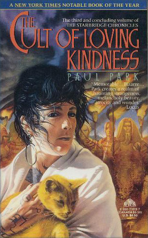 The Starbridge Chronicles book cover 3