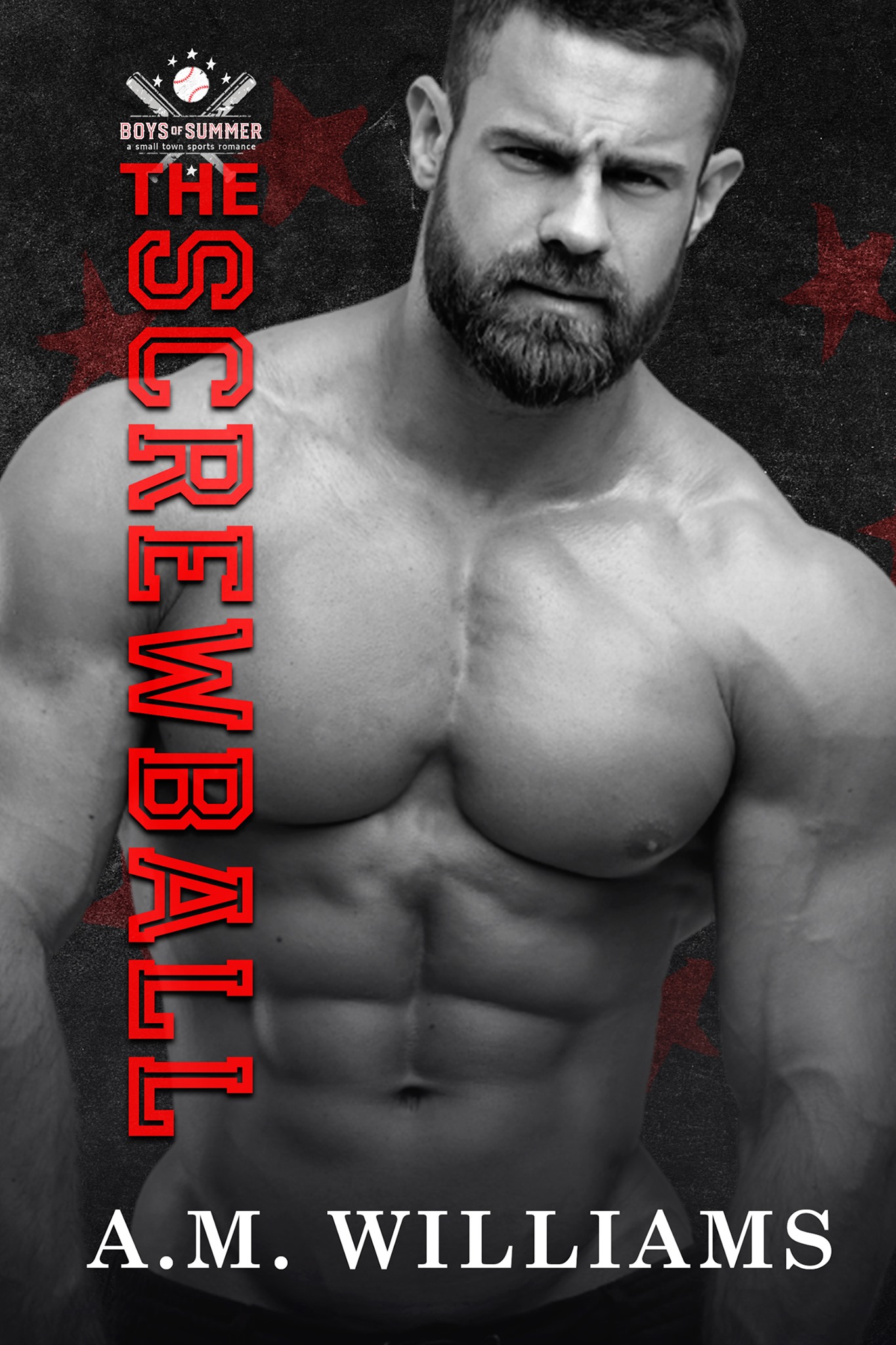 Boys of Summer book cover 3