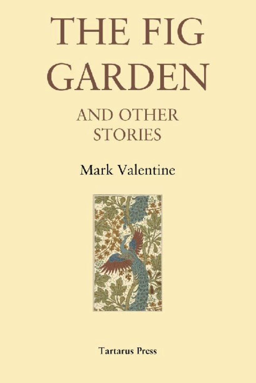The Fig Garden and Other Stories book cover