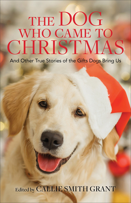 The Dog Who Came to Christmas book cover
