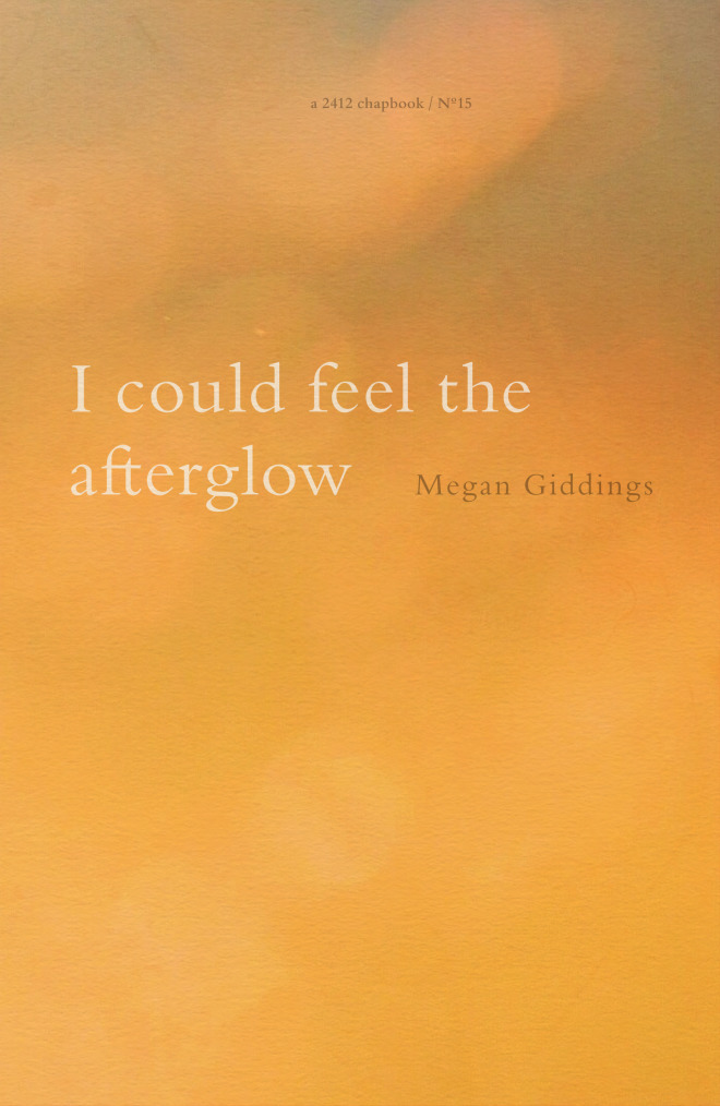 I could feel the afterglow book cover