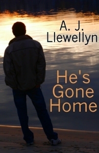 He's Gone Home book cover