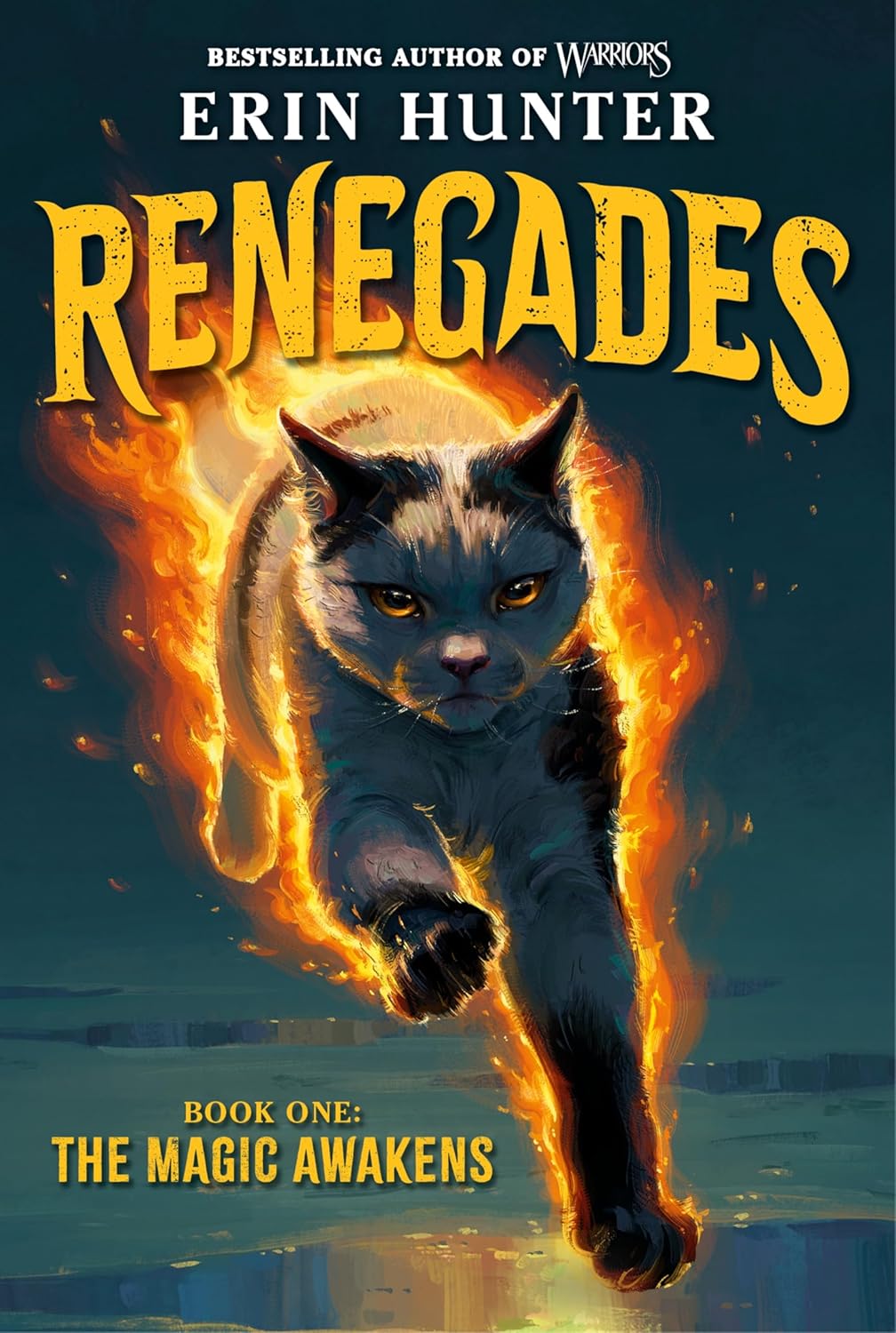 The Magic Awakens book cover