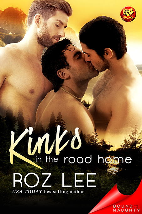 Kinks In the Road Home book cover