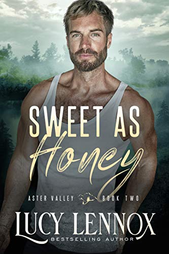 Aster Valley book cover 2