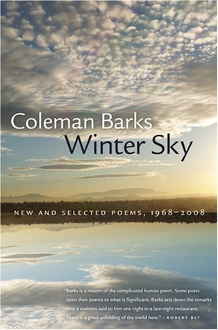 Winter Sky book cover
