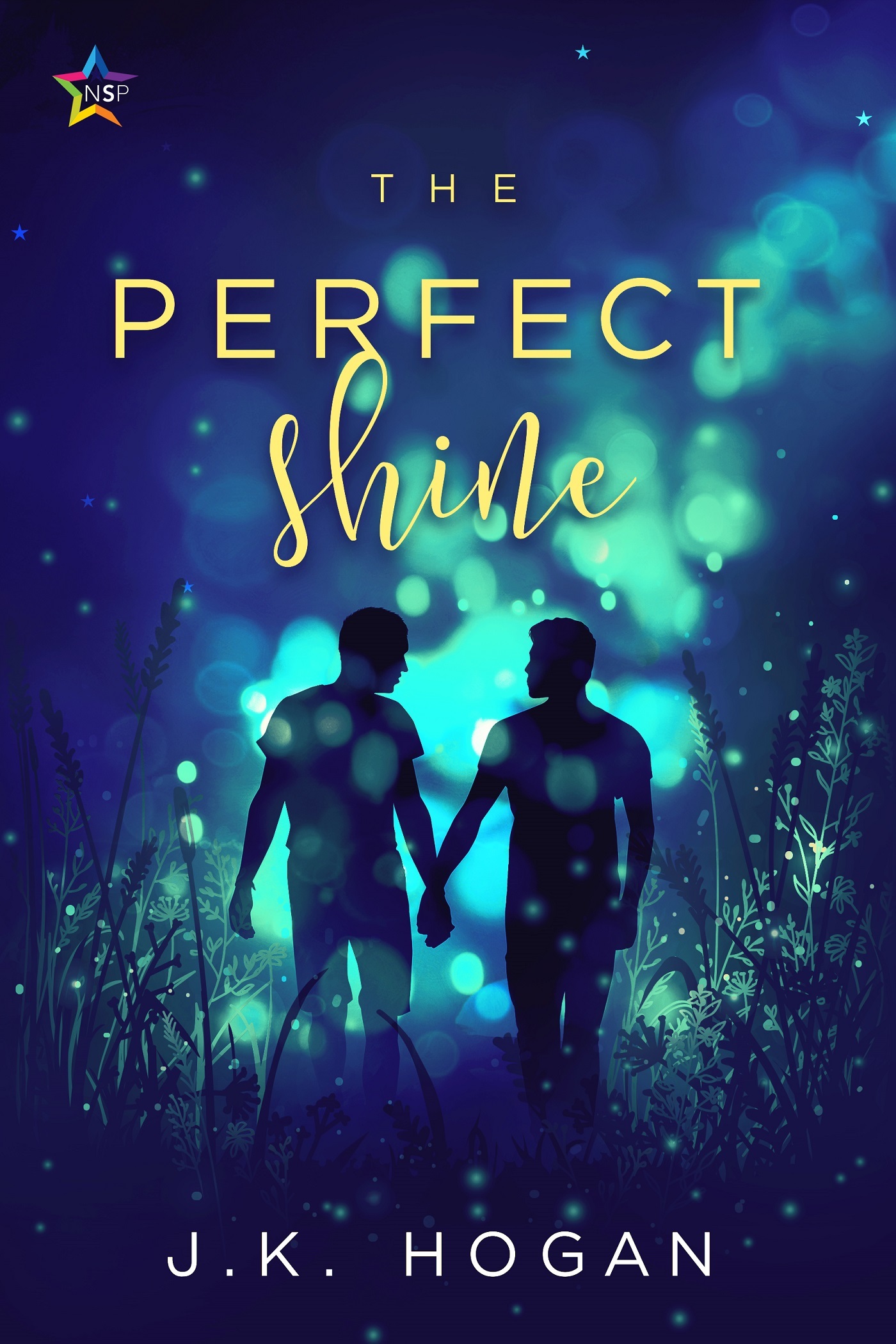 The Perfect Shine book cover