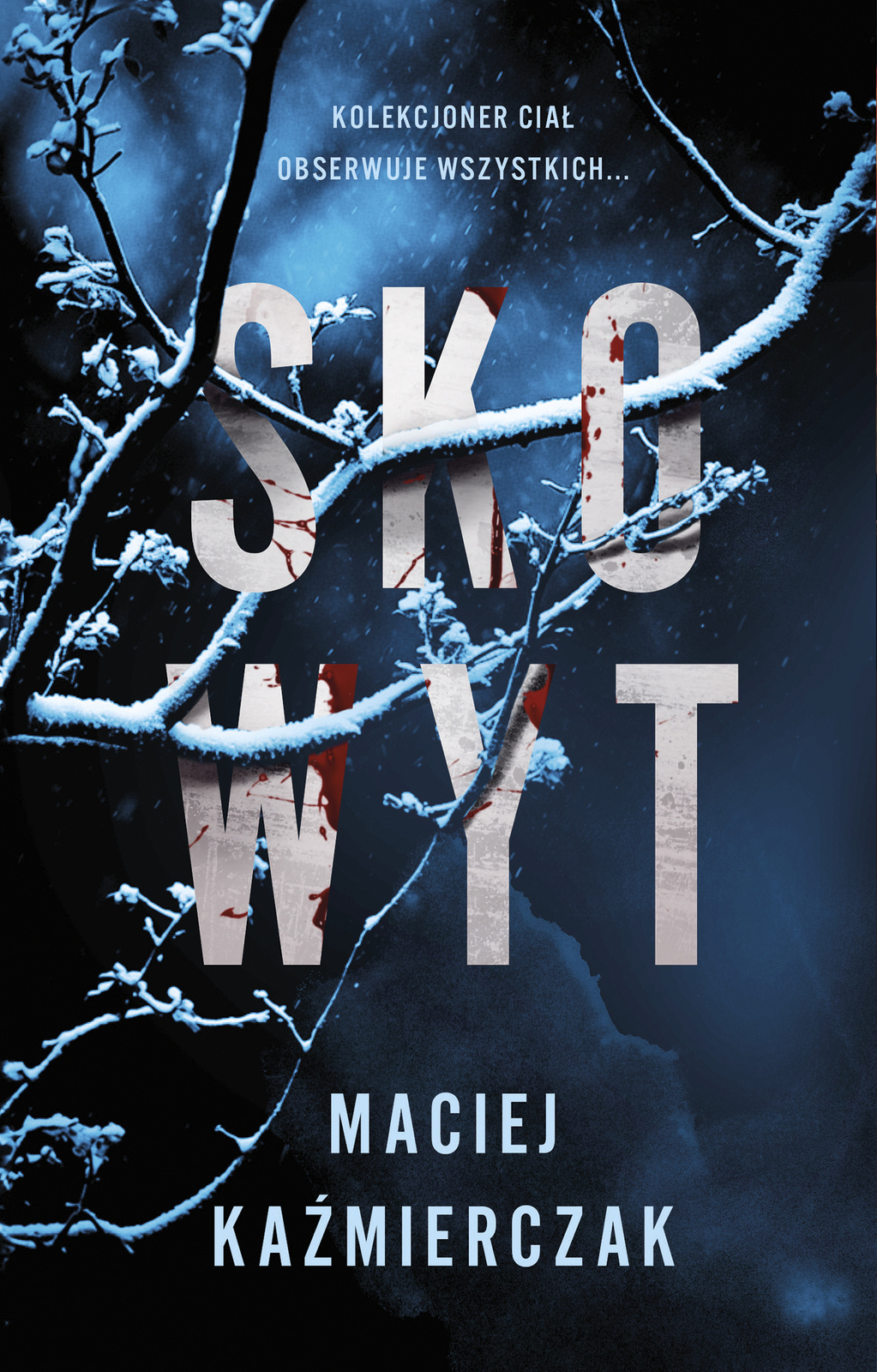 Robert Foks book cover 1