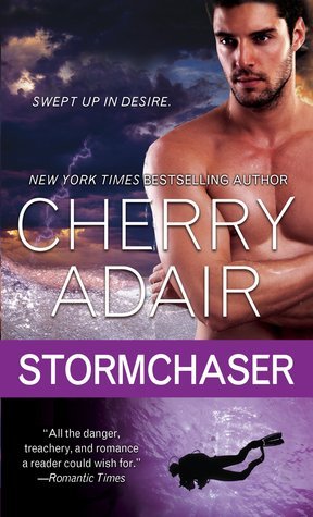 Stormchaser book cover