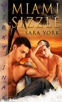 Miami Sizzle book cover