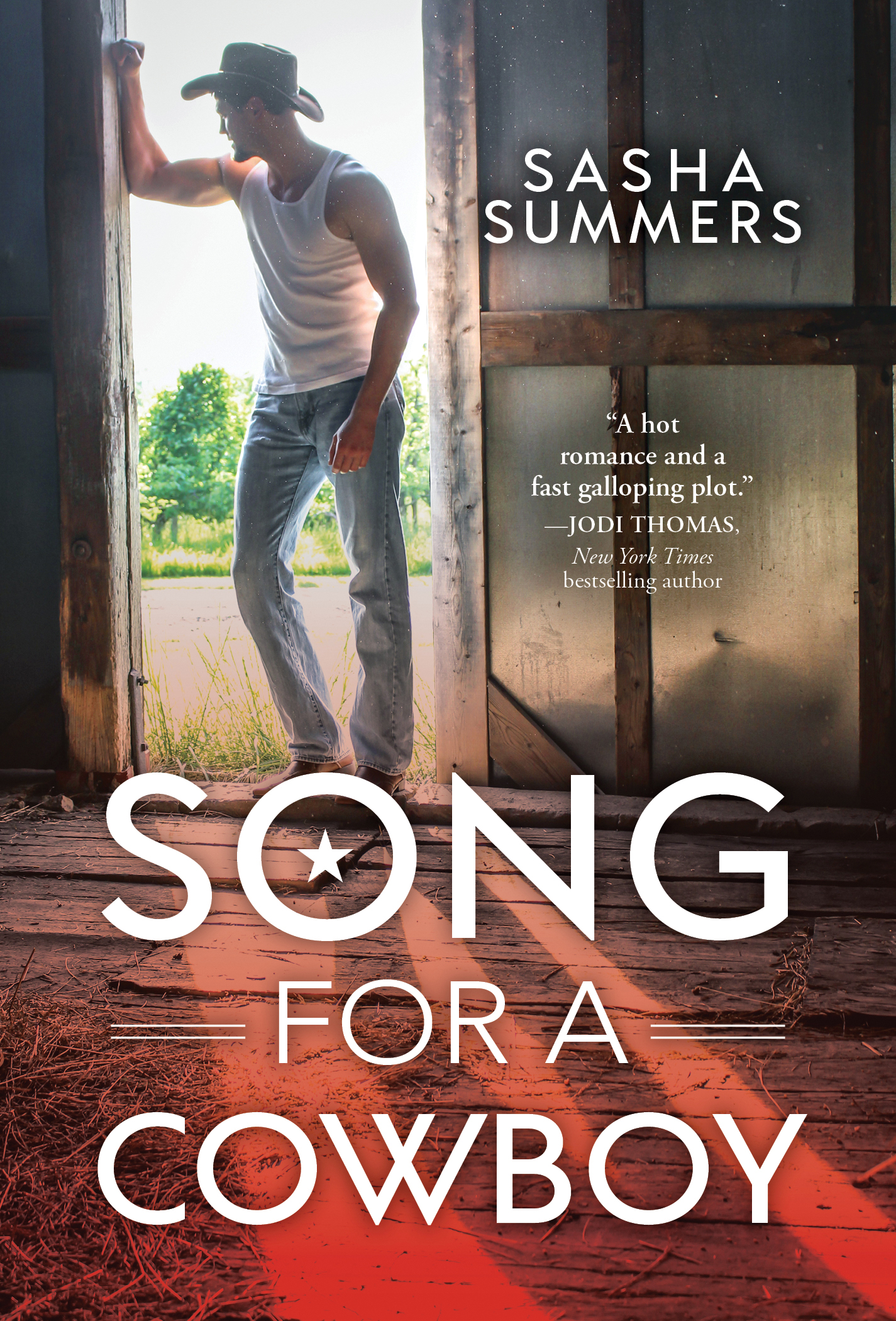 Kings of Country book cover 2