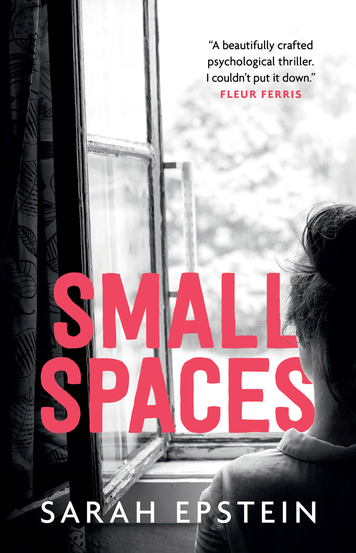 Small Spaces book cover