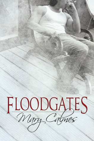 Floodgates book cover