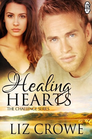 The Challenge Series book cover 1