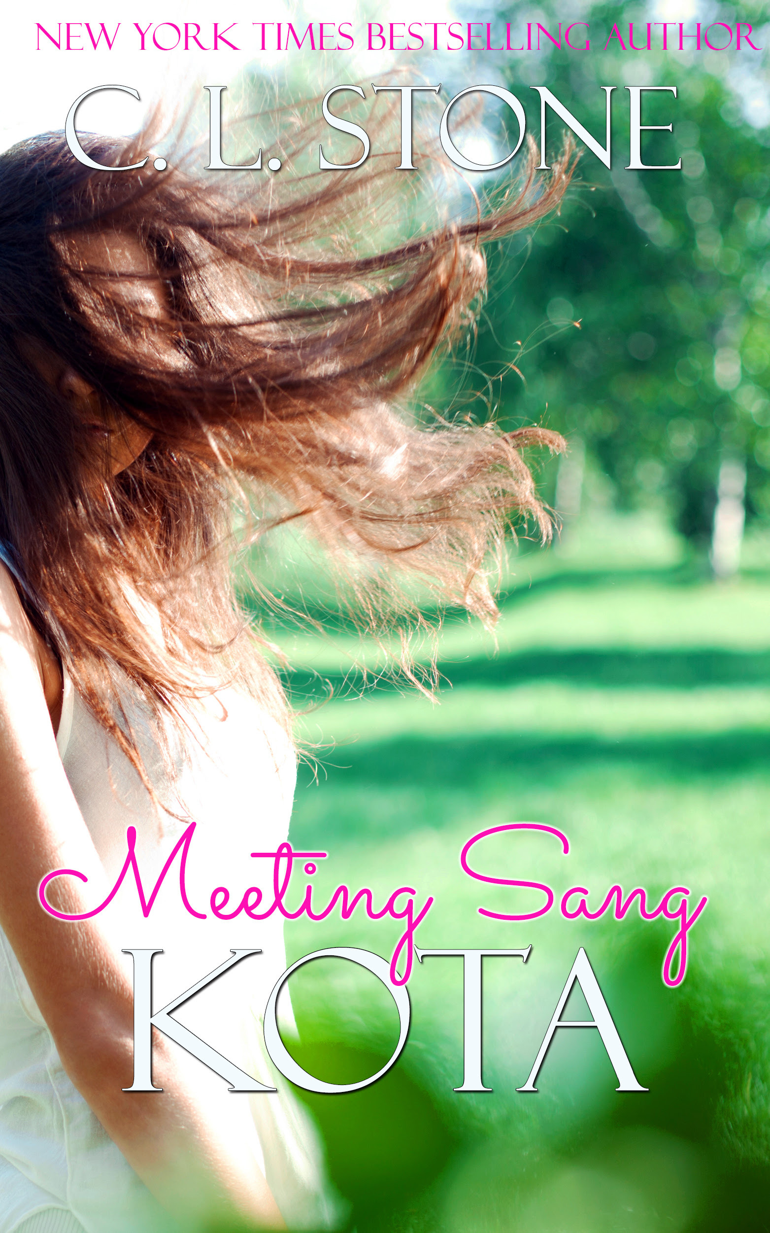 Meeting Sang book cover