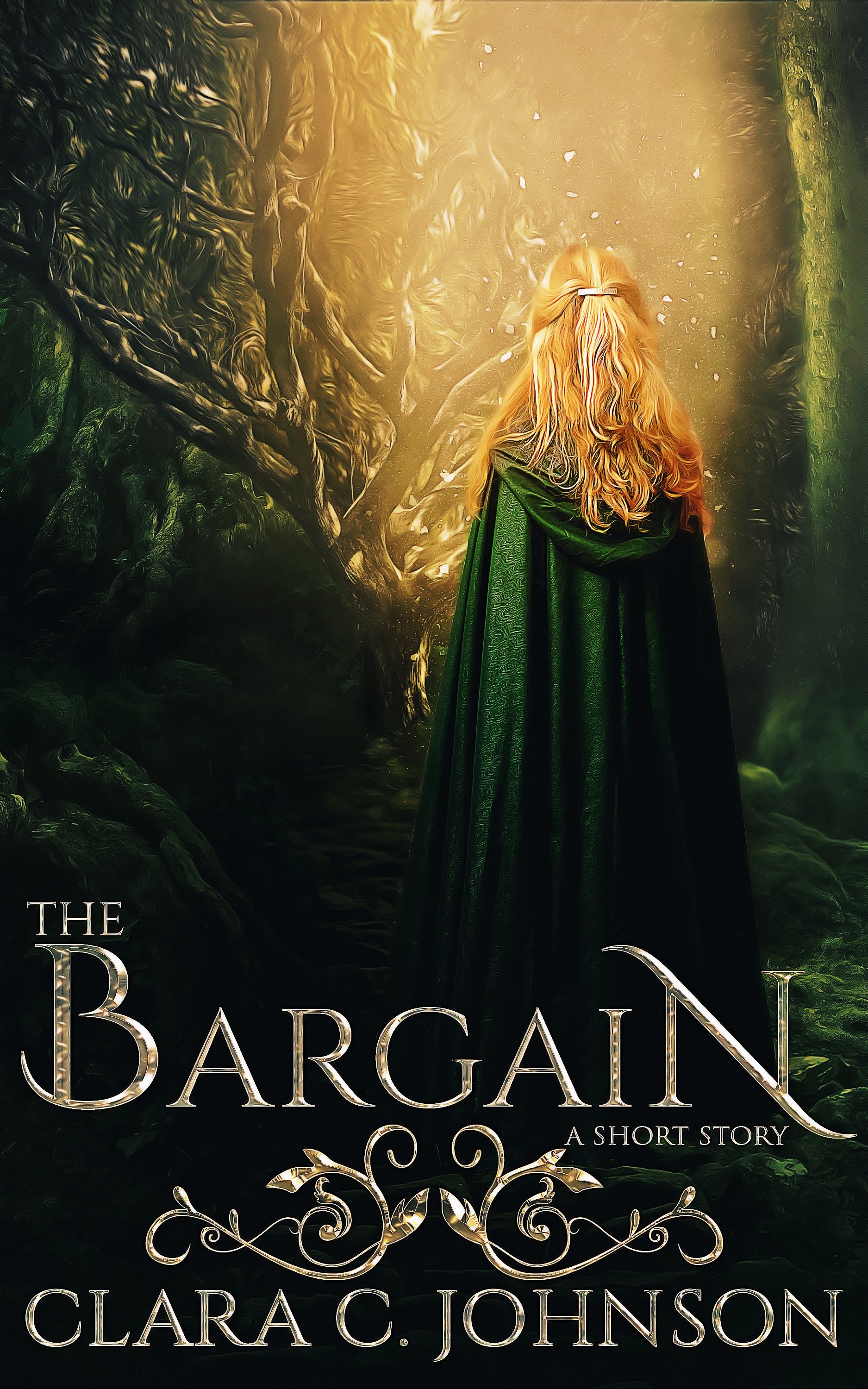 The Bargain book cover
